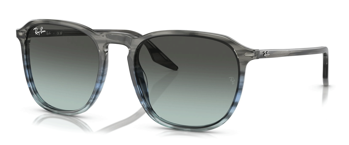 Ray-Ban RB2203 1391GK - (55-20-145)