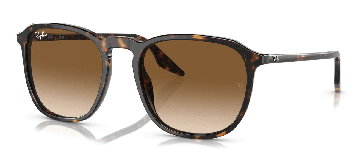 Ray-Ban RB2203 902/51 - (55-20-145)