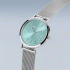 Bering | Classic | Polished Silver | 14134-005-GWP